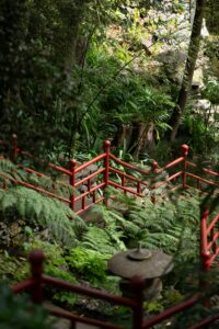 Voyage en chine, voyage sur mesure, chine nature