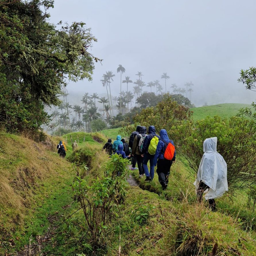 0b945594-6d35-4a68-907b-e84408965350