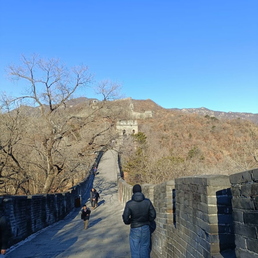 409c0cca-493a-490d-9691-e852889be2a8