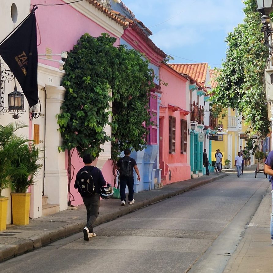 498d33b9-5807-4076-8f77-5cf9992e5fd9