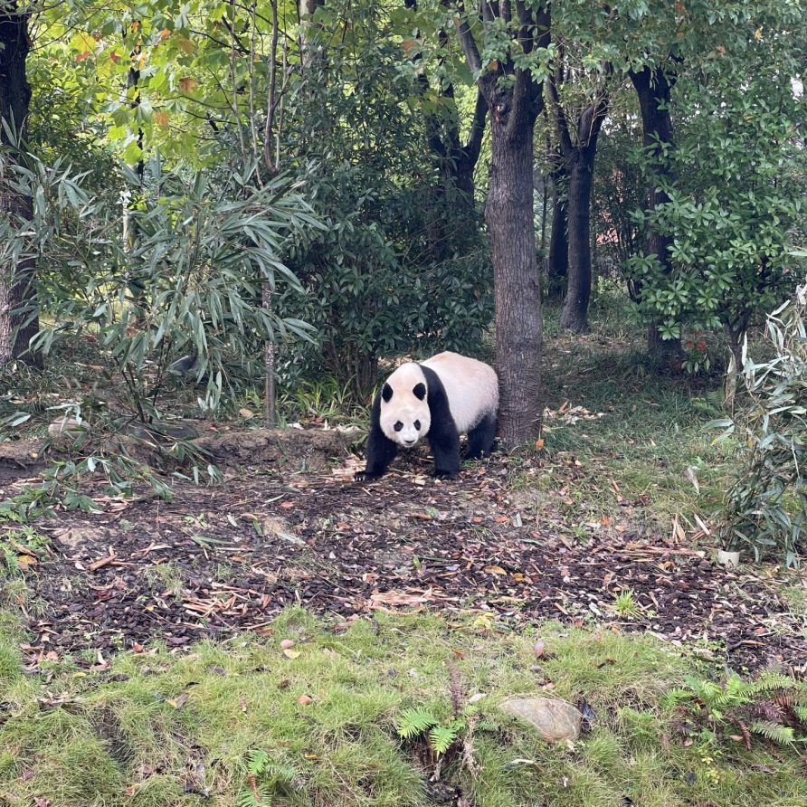 9c532873-8ea2-4a69-b9c7-c25b35fd0726