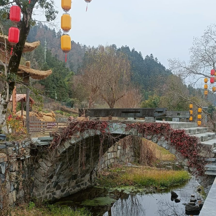 e02adc51-16e5-43a4-a674-69e41e24f7c8