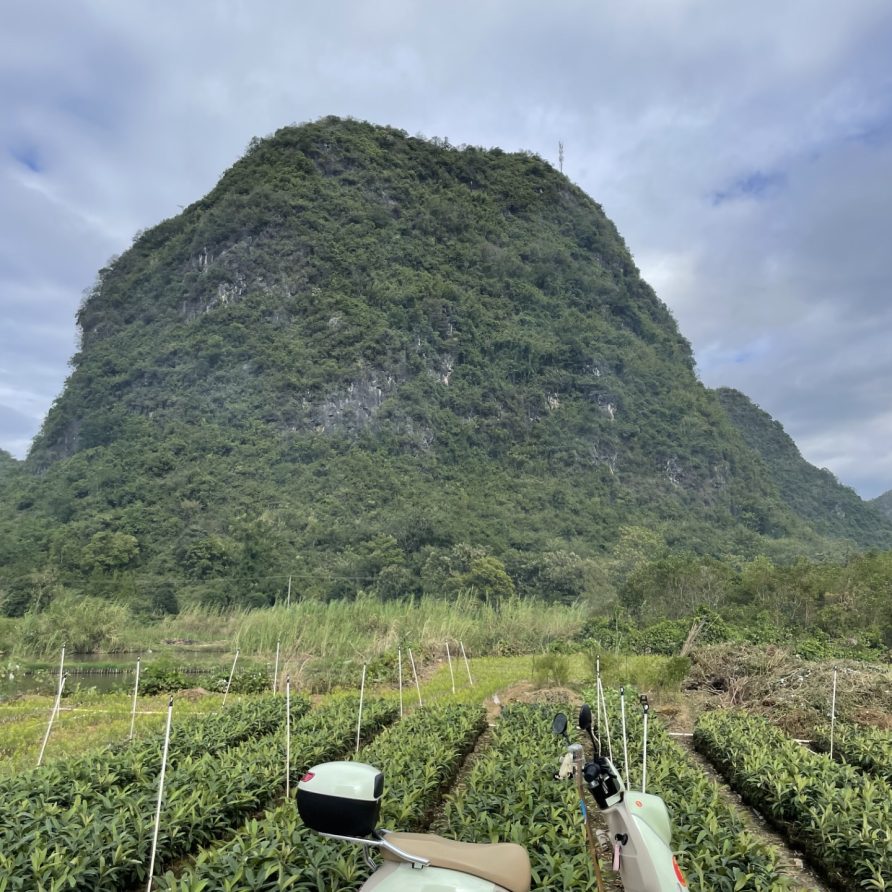 f04b3414-bbec-4302-9747-08b8c10173fa