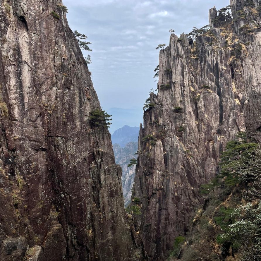 feeaa6b8-c1b0-4835-af89-8b6a96e23f3f